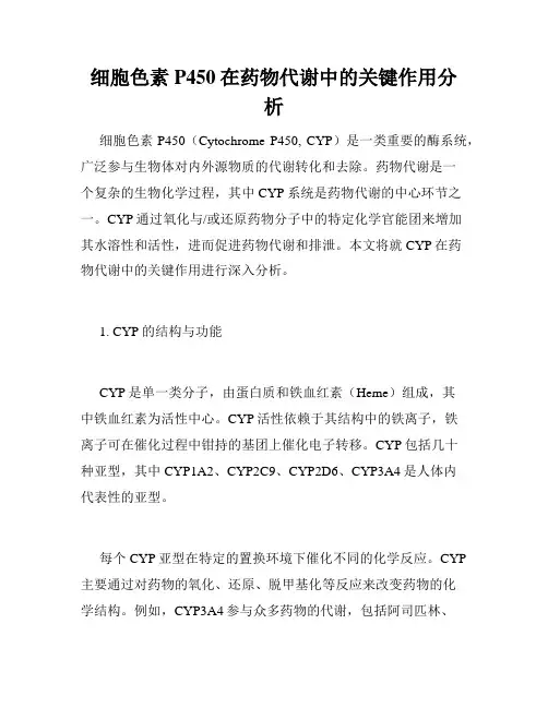 细胞色素P450在药物代谢中的关键作用分析