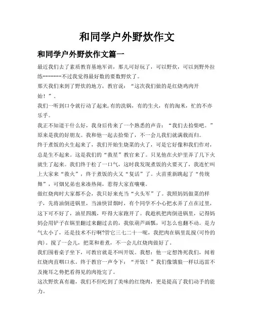 和同学户外野炊作文