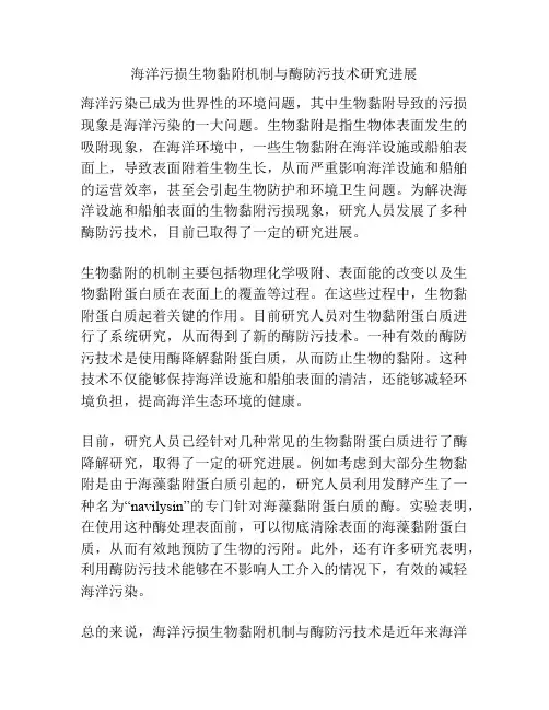 海洋污损生物黏附机制与酶防污技术研究进展