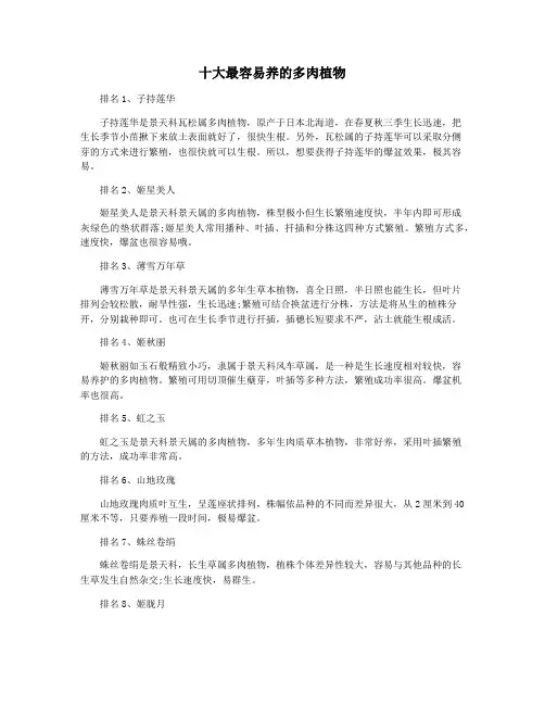 十大最容易养的多肉植物