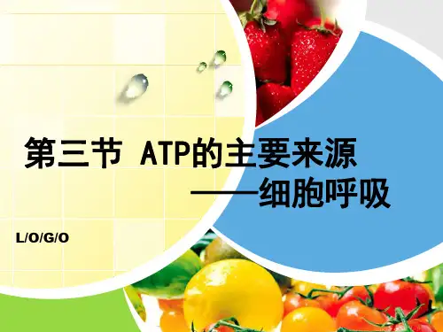 人教版高中生物必修一 第五章 第三节  ATP的主要来源——细胞呼吸