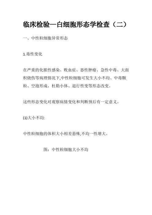 临床检验—白细胞形态学检查(二)