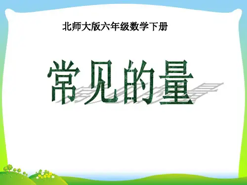 北师大版六年级数学下册总复习《常见的量》课件