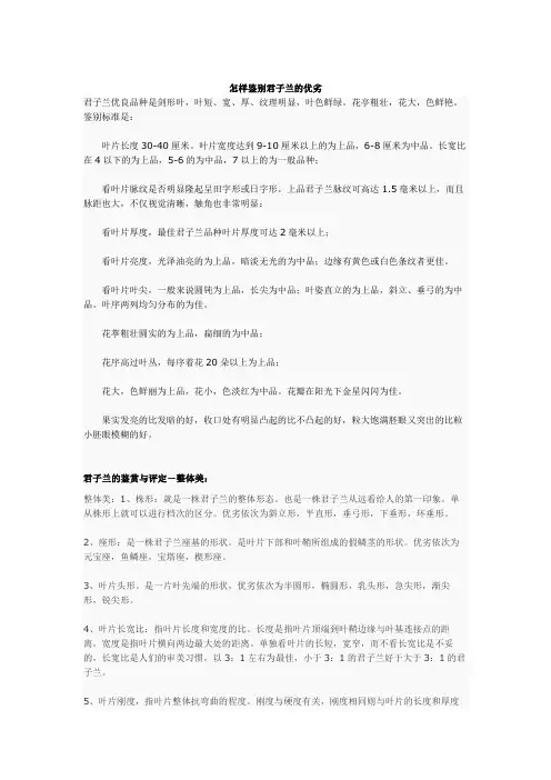 怎样鉴别君子兰的优劣