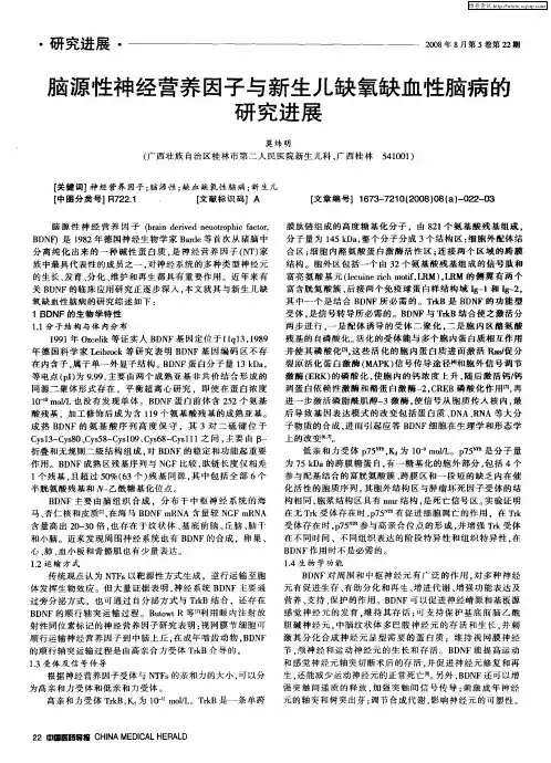 脑源性神经营养因子与新生儿缺氧缺血性脑病的研究进展