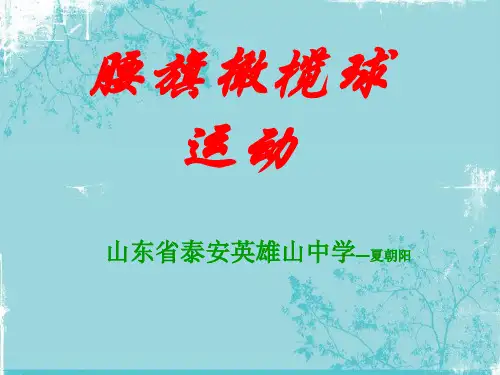 腰旗橄榄球教学