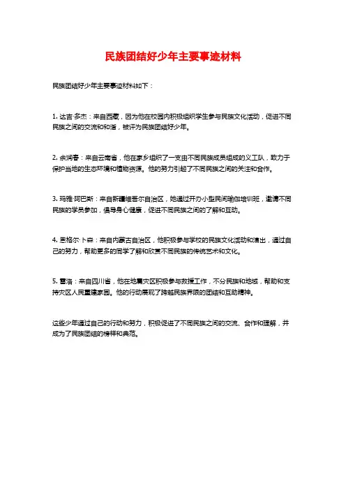 民族团结好少年主要事迹材料