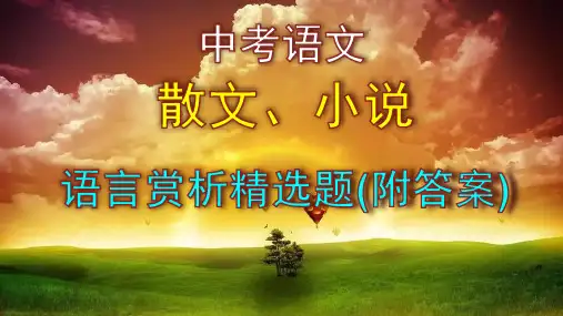 中考语文散文、小说语言赏析精选题(附答案)