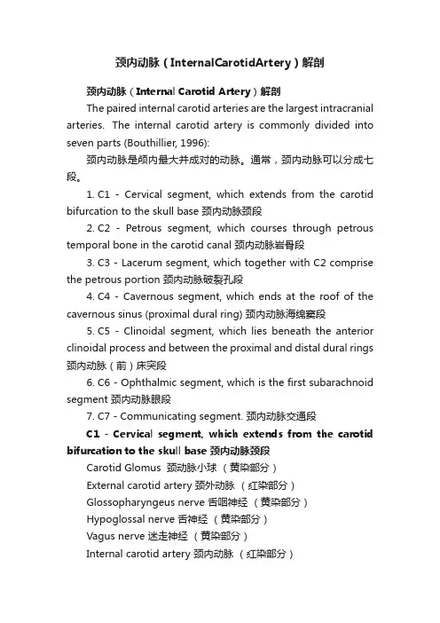 颈内动脉（InternalCarotidArtery）解剖