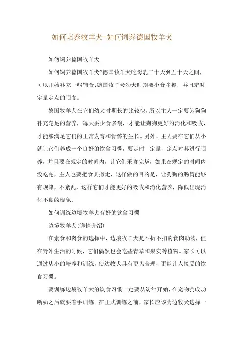 如何培养牧羊犬-如何饲养德国牧羊犬