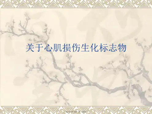 心肌损伤生化标志物课件