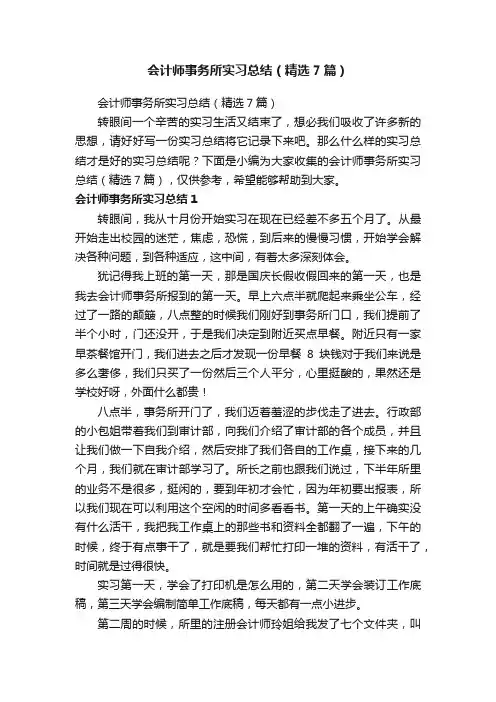 会计师事务所实习总结（精选7篇）