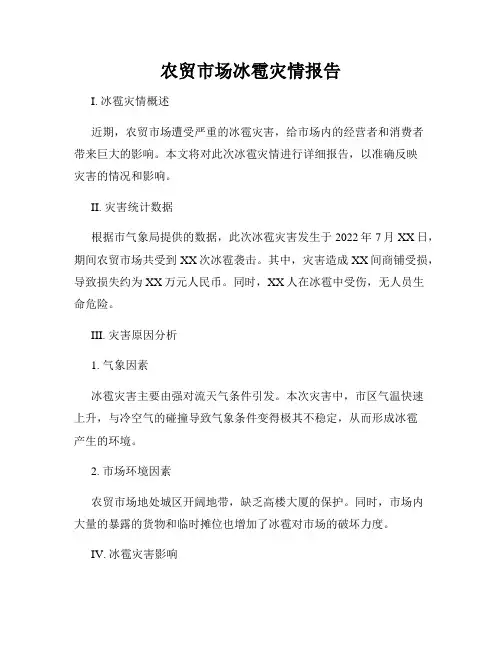 农贸市场冰雹灾情报告