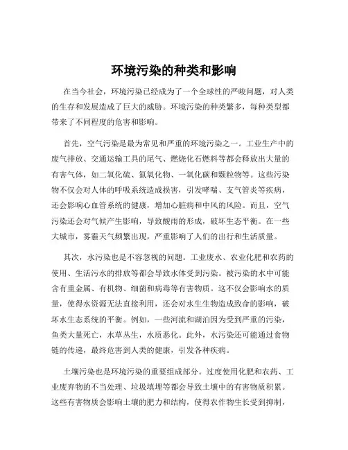 环境污染的种类和影响