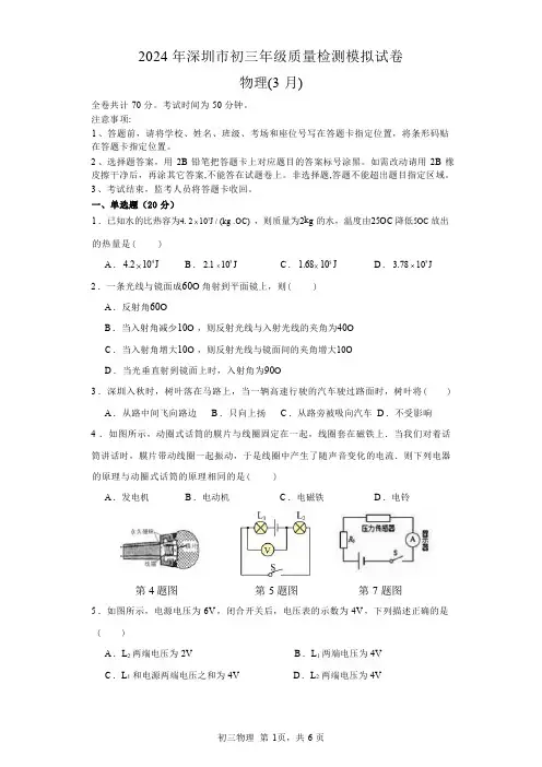 2024年深圳市初三年级质量检测模拟试卷物理