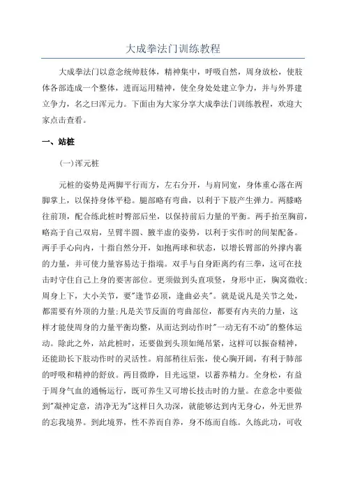 大成拳法门训练教程