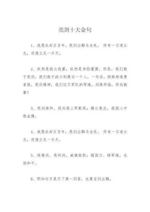 亮剑十大金句