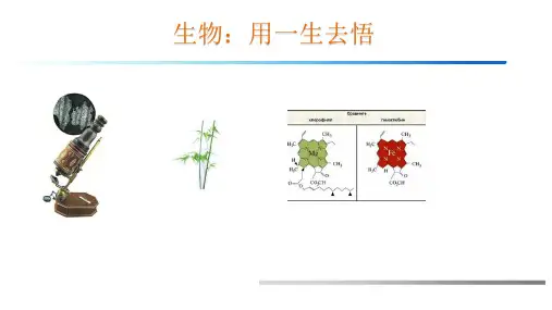 开学第一课课件-高一上学期生物人教版必修1