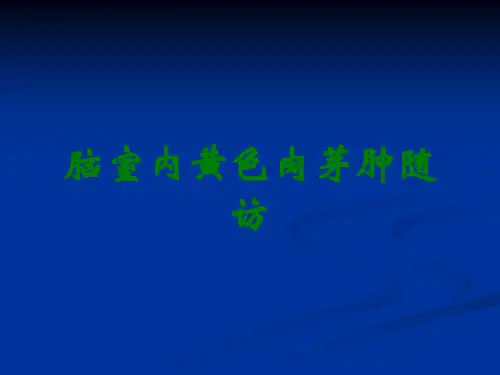 脑室内黄色肉芽肿随访