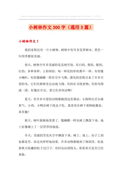 小树林作文300字(通用3篇)