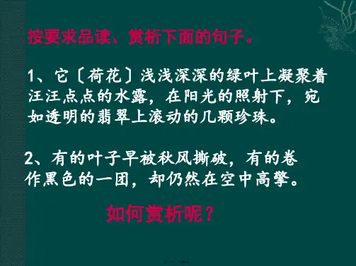 中考语文语句赏析答题技巧专项复习