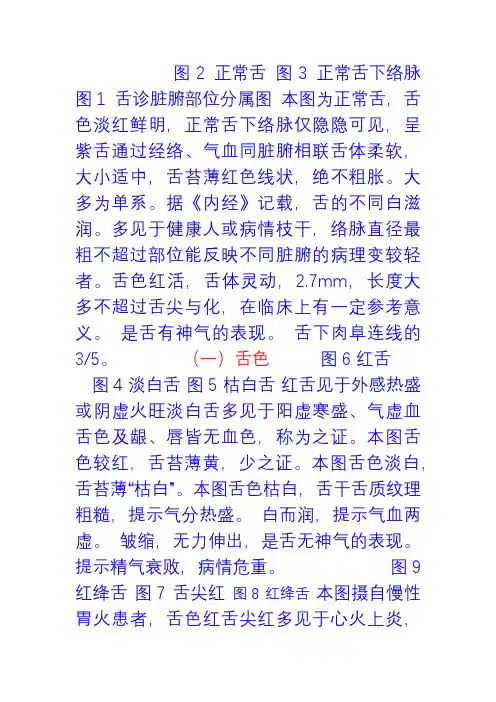 舌诊图集附详解