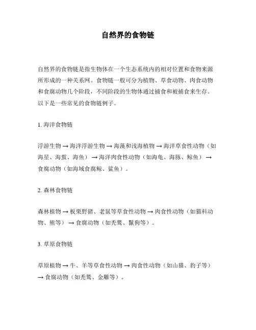 自然界的食物链