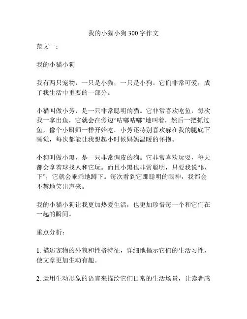 我的小猫小狗300字作文