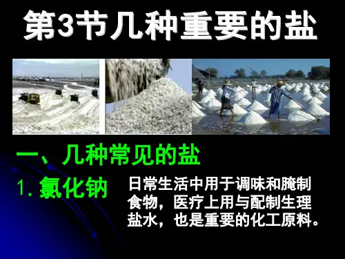 几种重要的盐