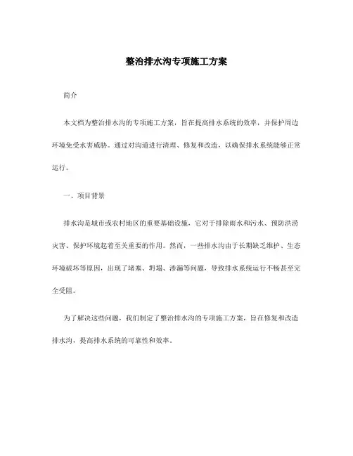 整治排水沟专项施工方案