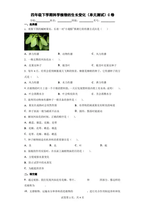 教科版小学四年级下册科学第一单元《植物的生长变化》复习练习试卷