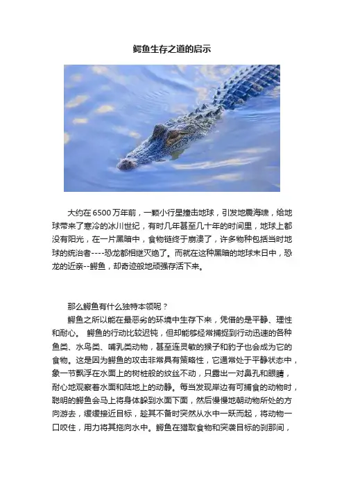 鳄鱼生存之道的启示