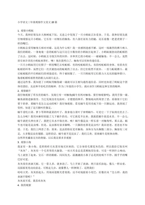 小学语文三年级观察作文范文20篇