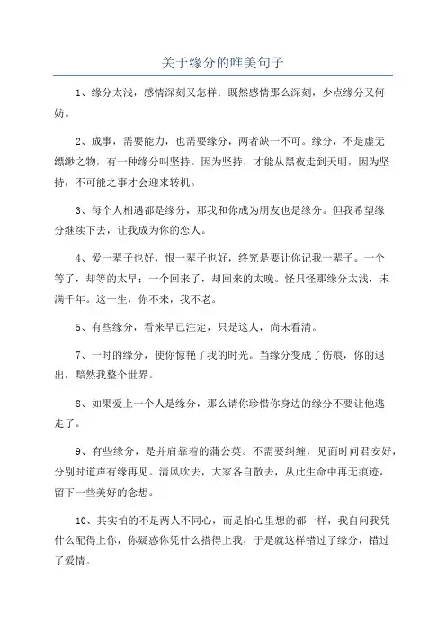 关于缘分的唯美句子
