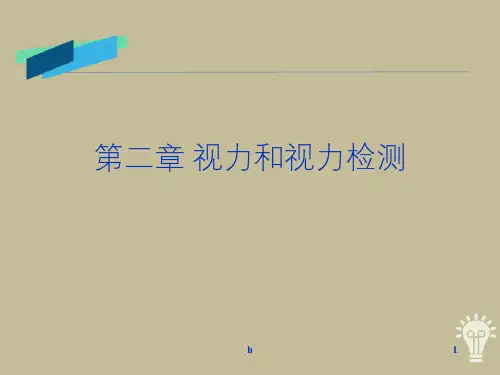 视力和视力检测
