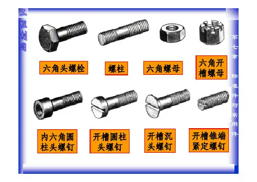 7 标准件与常用件