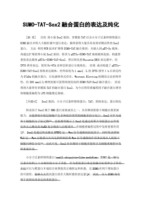 SUMO-TAT-Sox2融合蛋白的表达及纯化