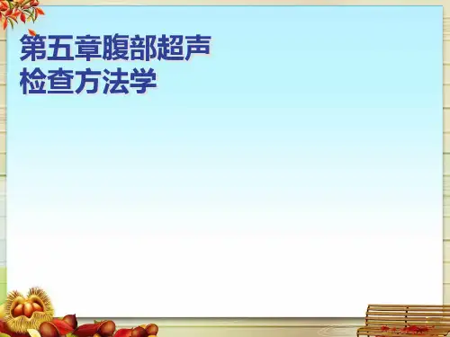 第五章腹部超声检查方法学
