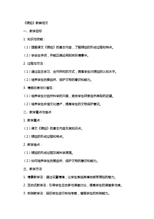 《琥珀》教案范文