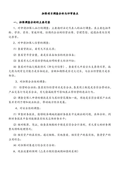 担保项目调查分析与评审要点