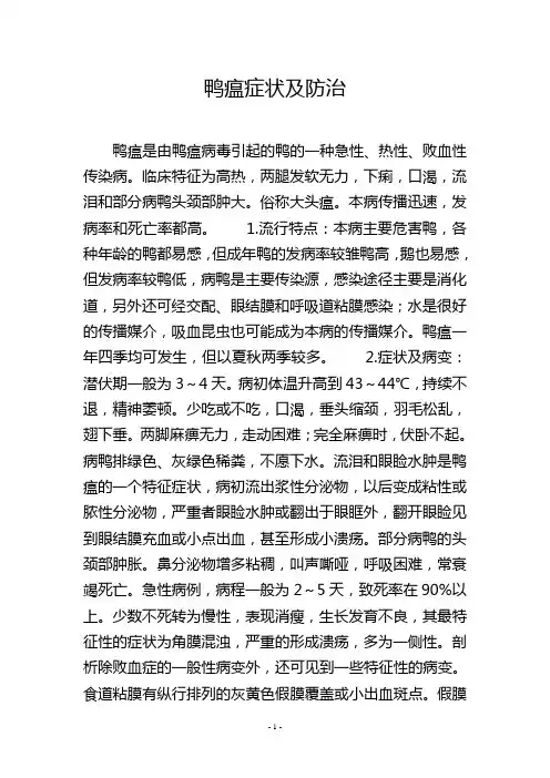鸭瘟症状及防治