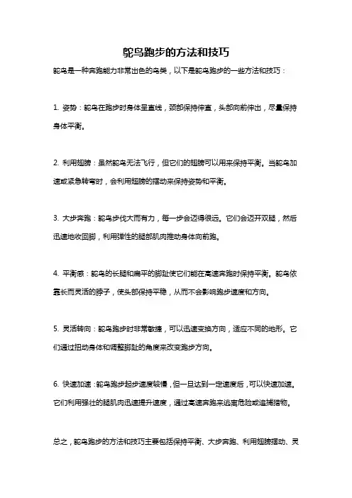 鸵鸟跑步的方法和技巧