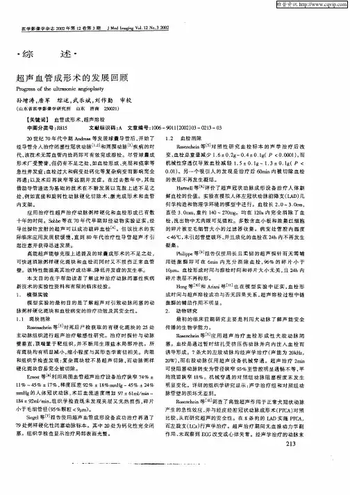 超声血管成形术的发展回顾