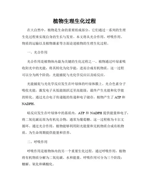 植物生理生化过程