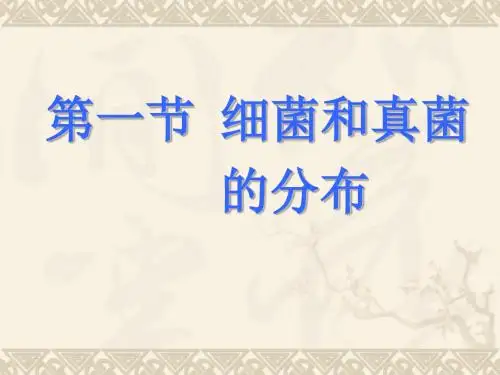 初中八年级(初二)生物 第一节细菌和真菌的分布