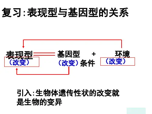 基因突变  公开课课件