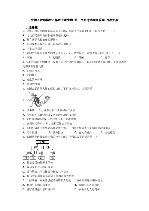 生物人教部编版八年级上册生物 第三次月考试卷及答案-百度文库
