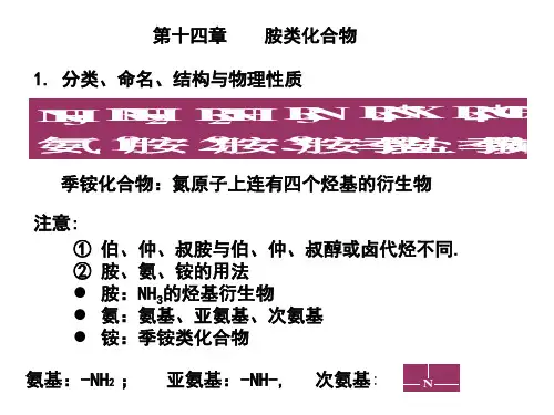 有机化学之胺类化合物 共21页