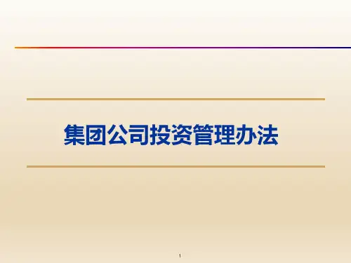 集团公司投资管理办法
