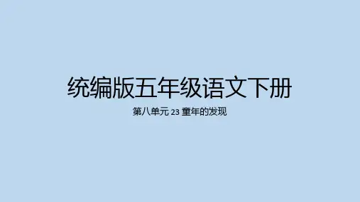 童年的发现ppt课件